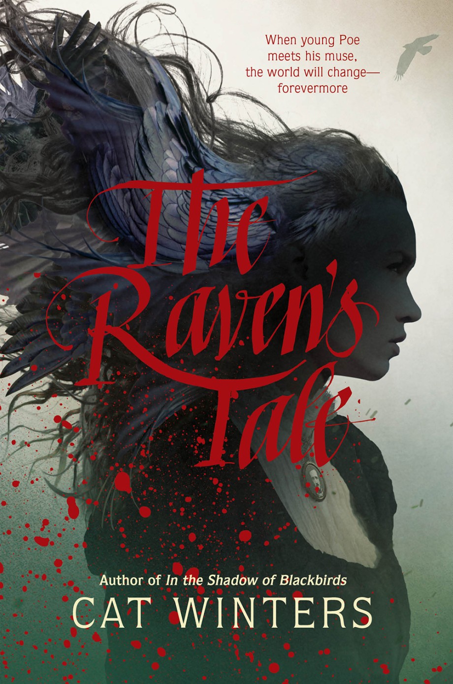 Cover for Raven's Tale