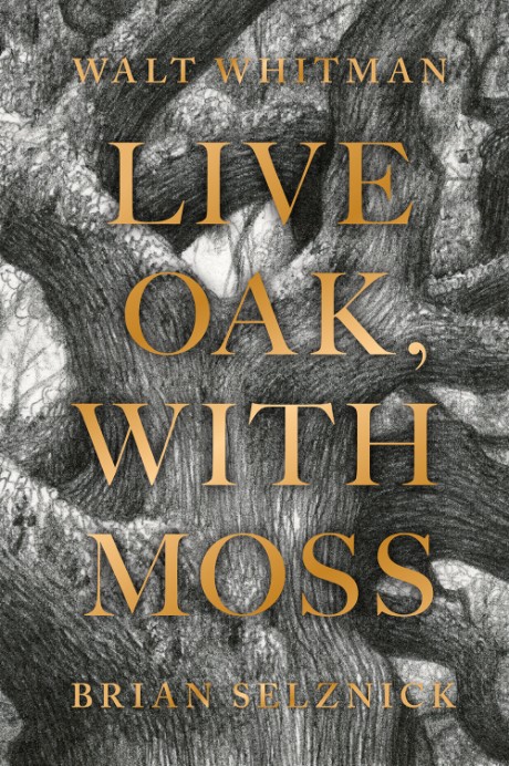 Cover image for Live Oak, with Moss 