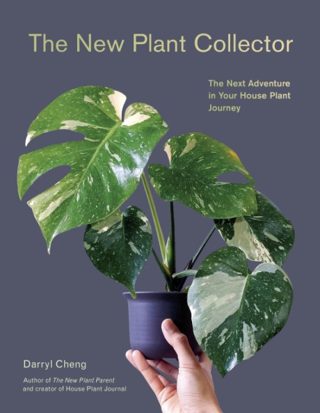 Cover image for New Plant Collector The Next Adventure in Your House Plant Journey