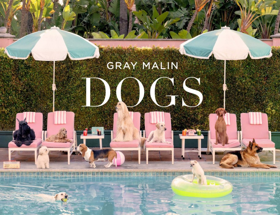Gray Malin: Dogs Photographs