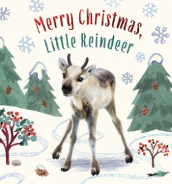 Cover image for Merry Christmas, Little Reindeer A Board Book