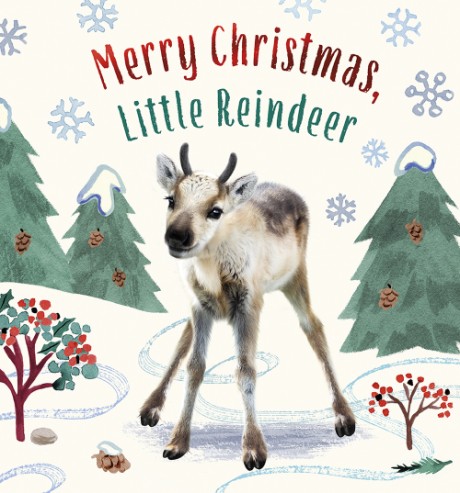 Cover image for Merry Christmas, Little Reindeer A Board Book