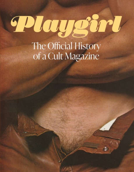 Cover image for Playgirl The Official History of a Cult Magazine