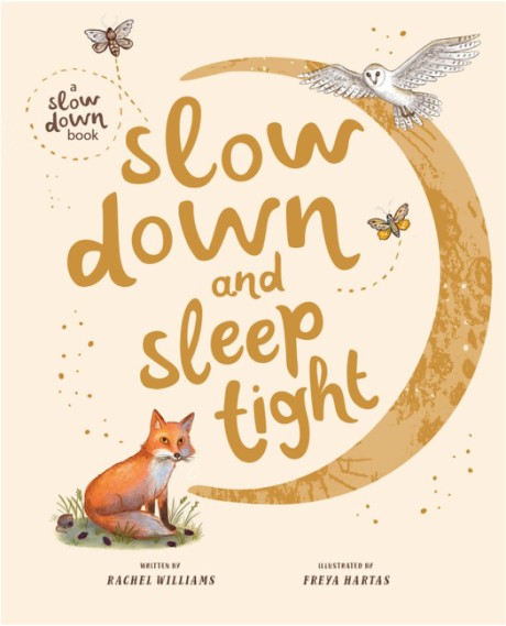 Cover image for Slow Down and Sleep Tight A Picture Book