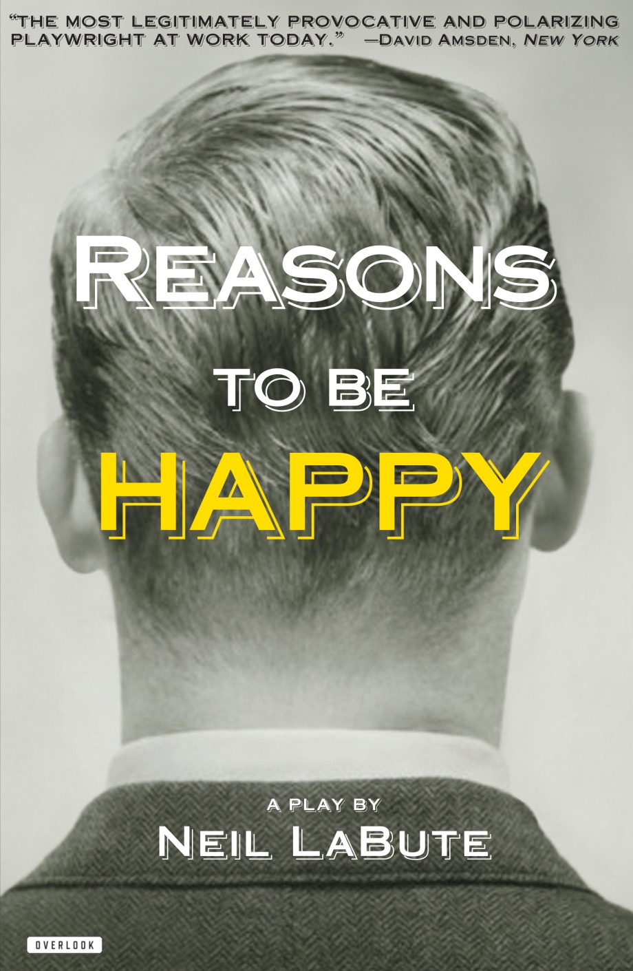 Reasons to be Happy A Play