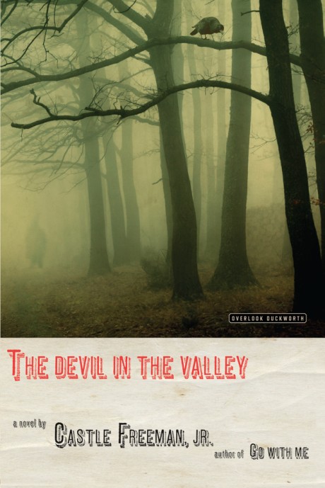 Cover image for Devil in the Valley A Novel