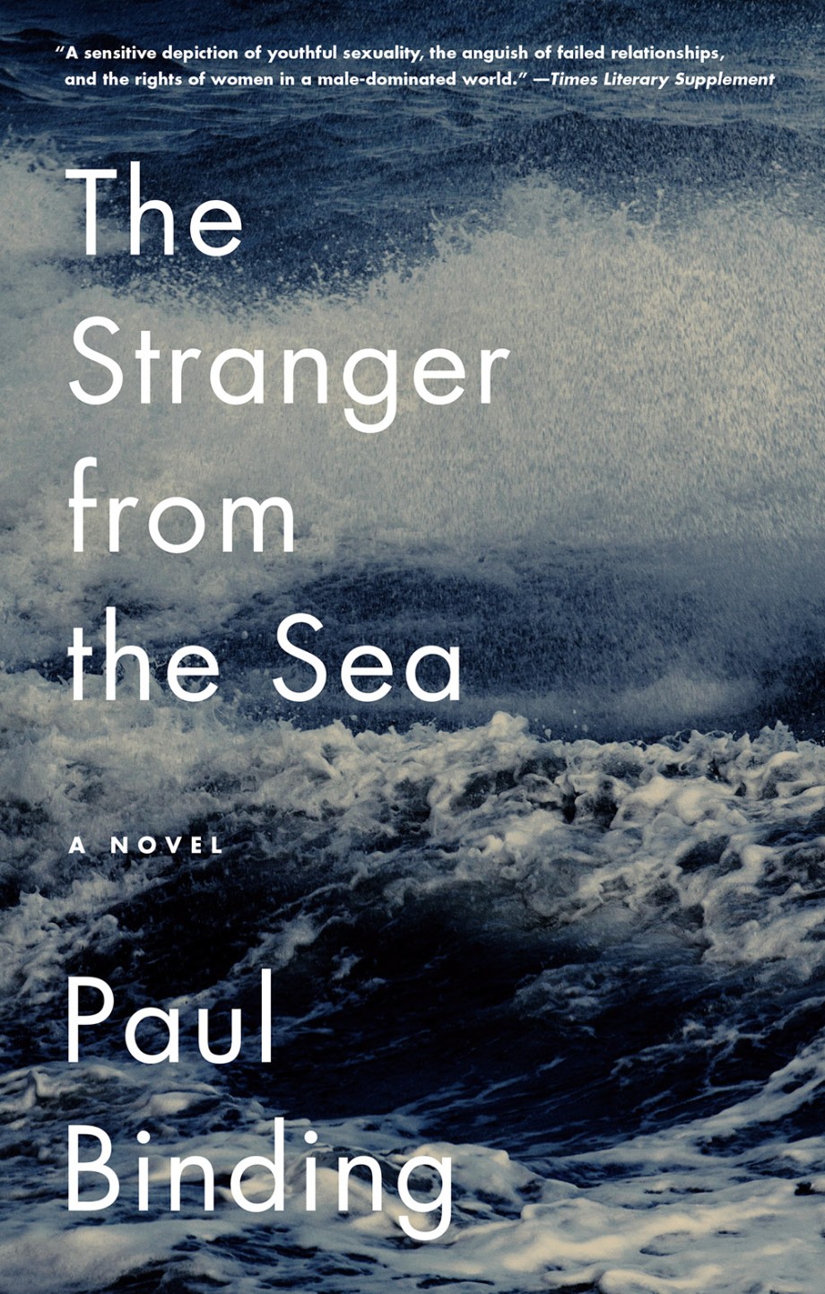 Stranger from the Sea A Novel