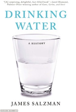 Drinking Water A History (Revised Edition)