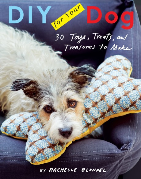 Cover image for DIY for Your Dog 30 Toys, Treats, and Treasures to Make