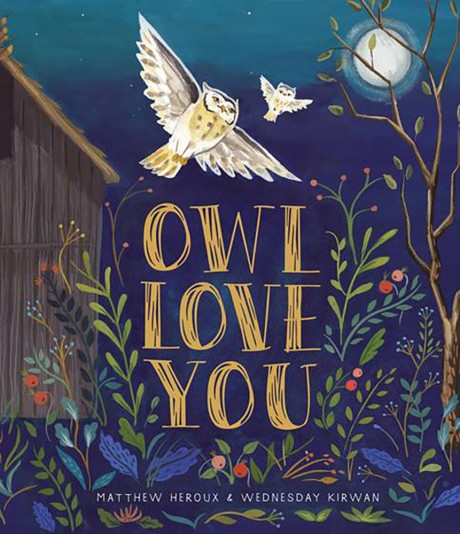 Cover image for Owl Love You 