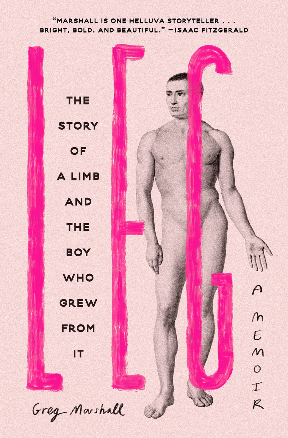 Cover for Leg The Story of a Limb and the Boy Who Grew from It