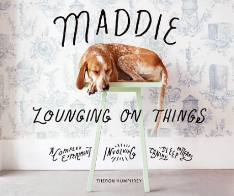 Cover image for Maddie Lounging On Things A Complex Experiment Involving Canine Sleep Patterns