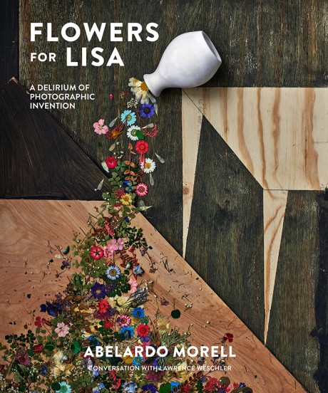 Cover image for Flowers for Lisa A Delirium of Photographic Invention