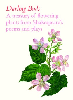 Cover image for Darling Buds A Botanical Celebration of Shakespeares's Natural World