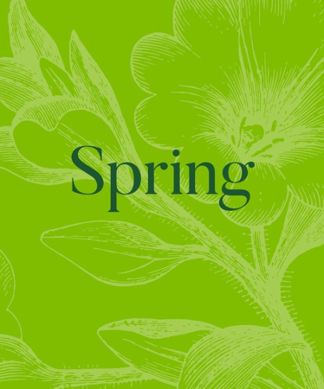 Cover image for Spring 