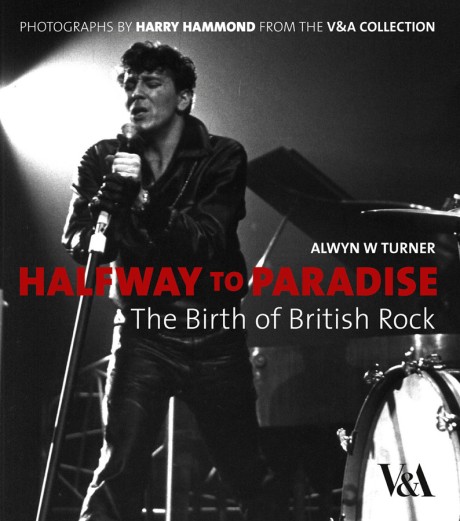 Cover image for Halfway to Paradise The Birth of British Rock