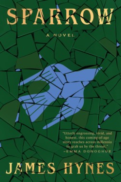 Cover image for Sparrow A Novel