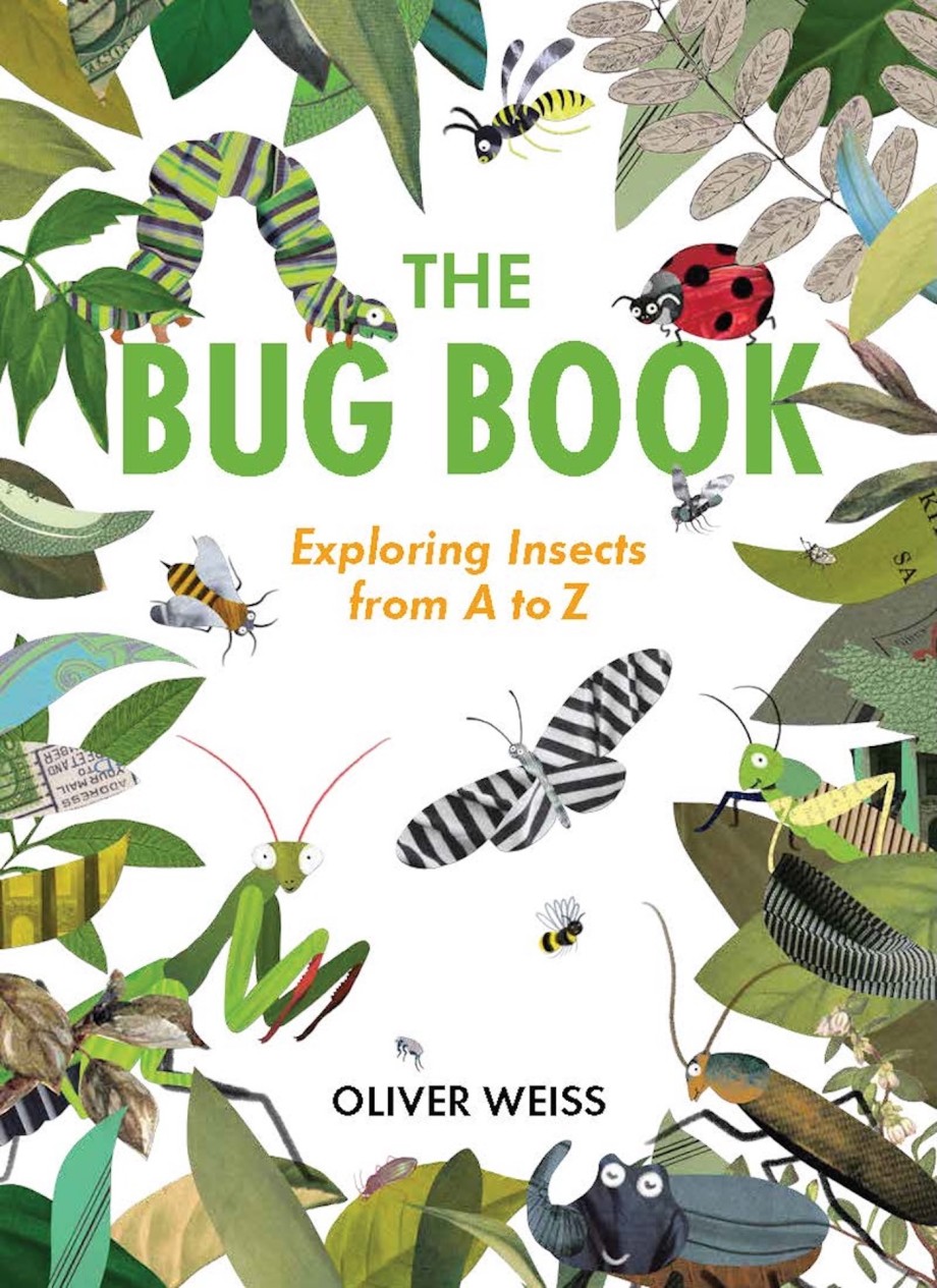 Cover for Bug Book