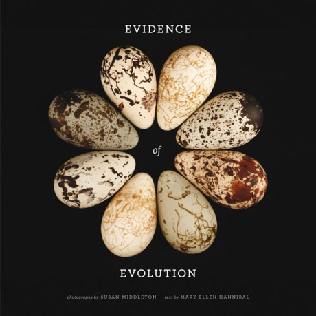 Cover image for Evidence of Evolution 