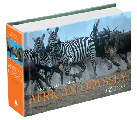 Cover image for African Odyssey 365 Days