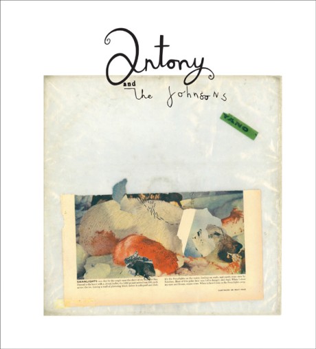 Cover image for Antony and the Johnsons Swanlights