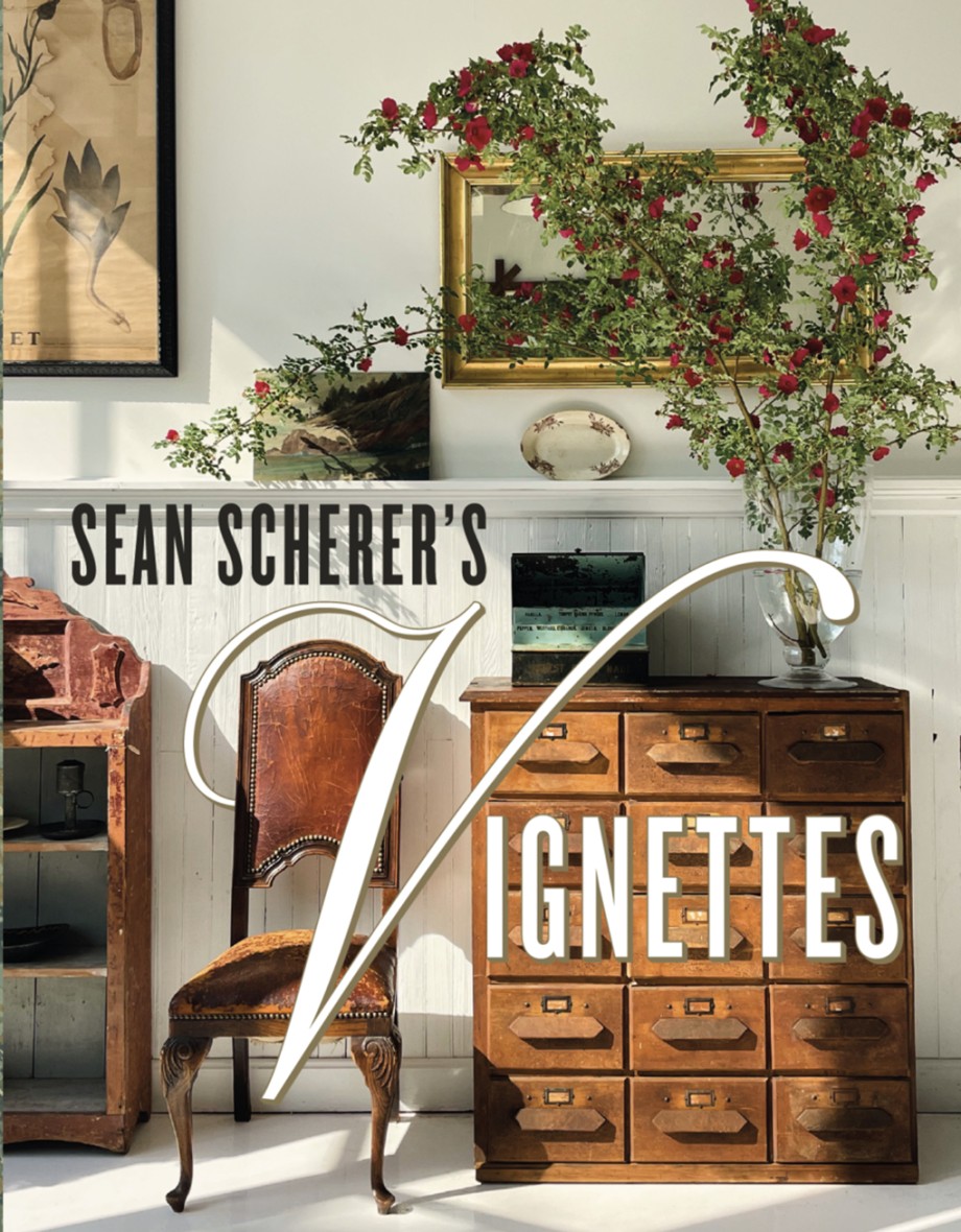 Sean Scherer's Vignettes 