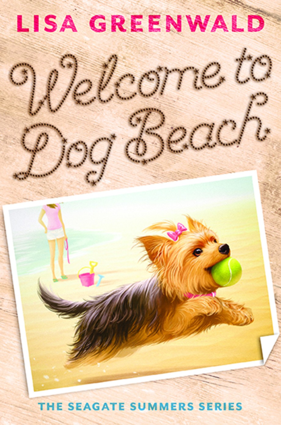 Welcome to Dog Beach (The Seagate Summers #1)