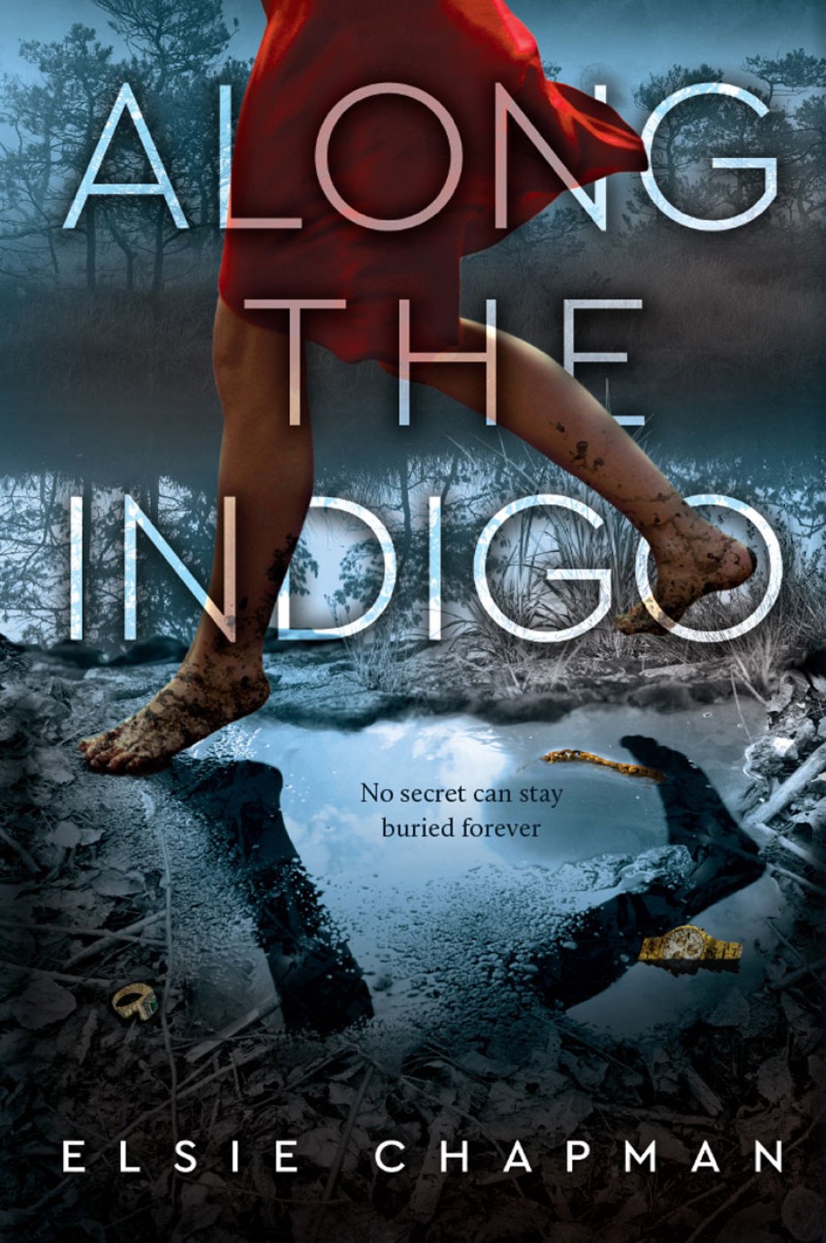 Cover for Along the Indigo