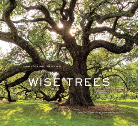 Cover image for Wise Trees 