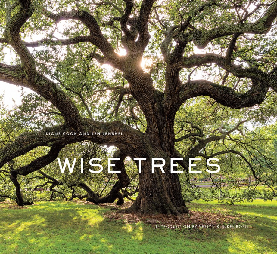 Wise Trees 