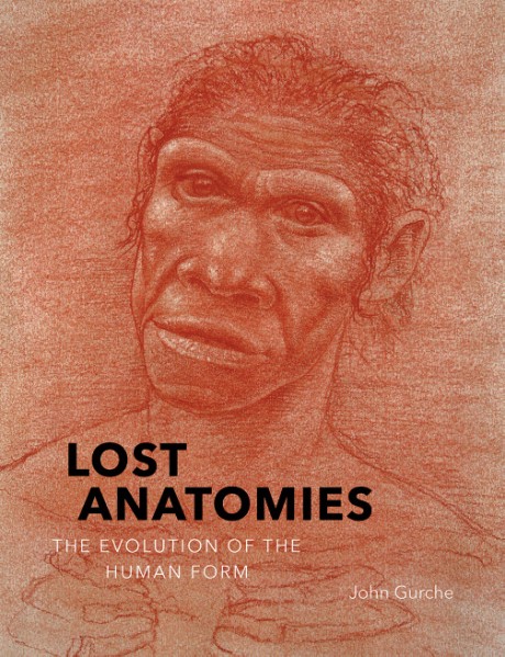 Cover image for Lost Anatomies The Evolution of the Human Form