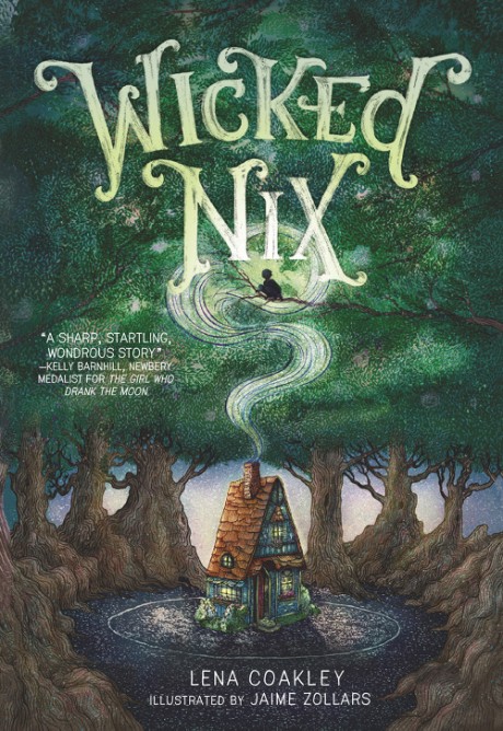 Cover image for Wicked Nix 