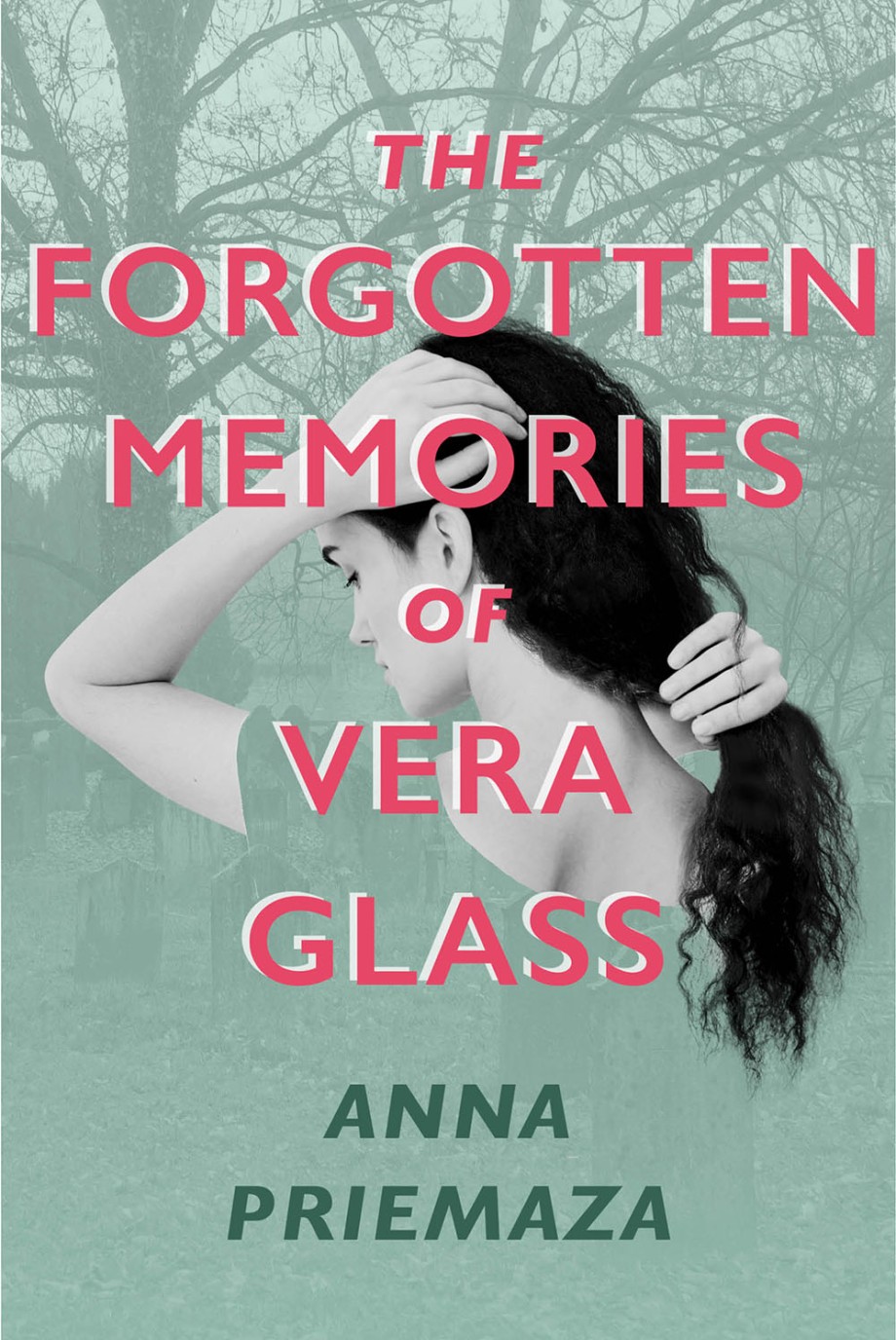 Cover for Forgotten Memories of Vera Glass A Novel
