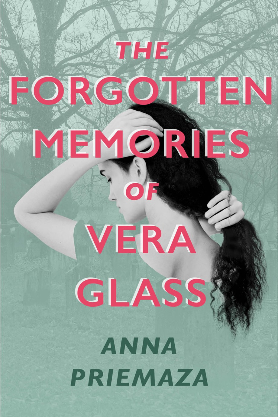 Forgotten Memories of Vera Glass A Novel