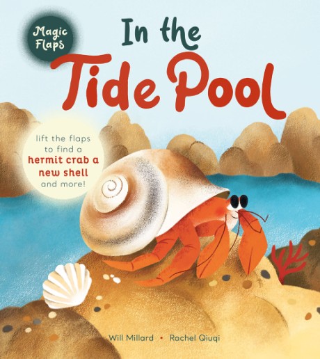 Cover image for In the Tide Pool A Magic Flaps Book