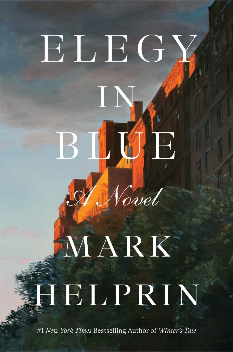Cover for Elegy in Blue A Novel