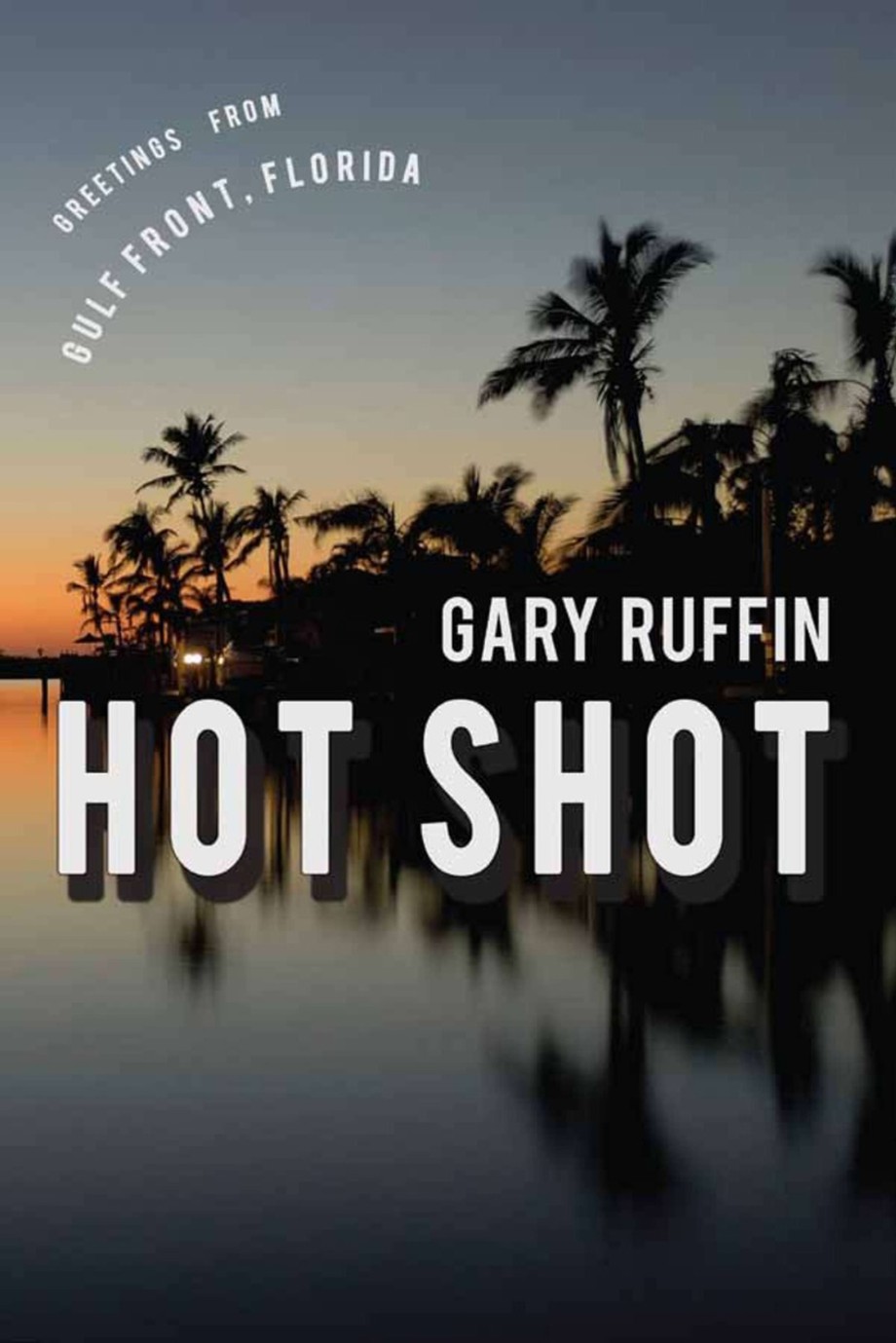 Hot Shot A Novel