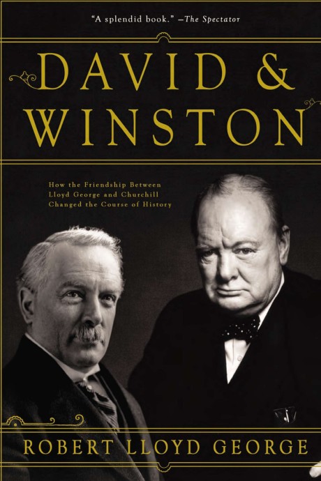 Cover image for David & Winston How the Friendship Between Lloyd George and Churchill Changed the Course of History