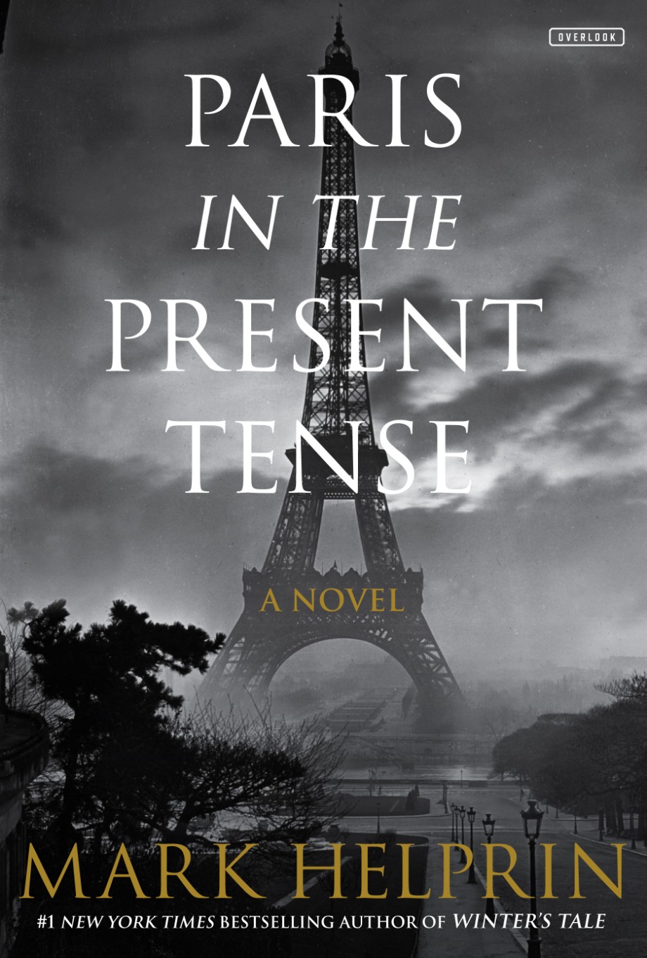 Paris in the Present Tense A Novel