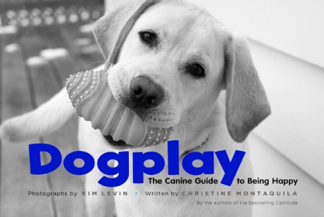 Cover image for Dogplay The Canine Guide to Being Happy