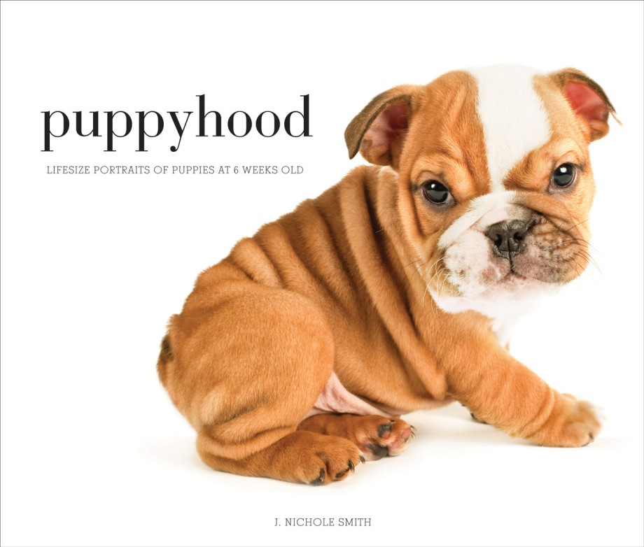 Cover for Puppyhood Life-size Portraits of Puppies at 6 Weeks Old