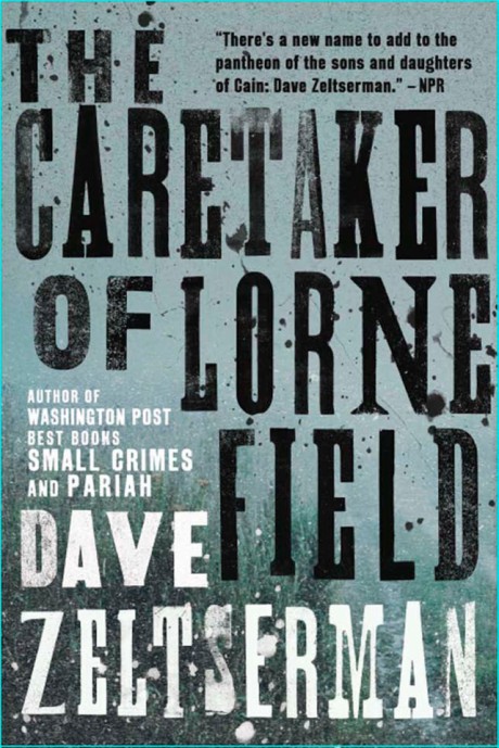 Cover image for Caretaker of Lorne Field A Novel