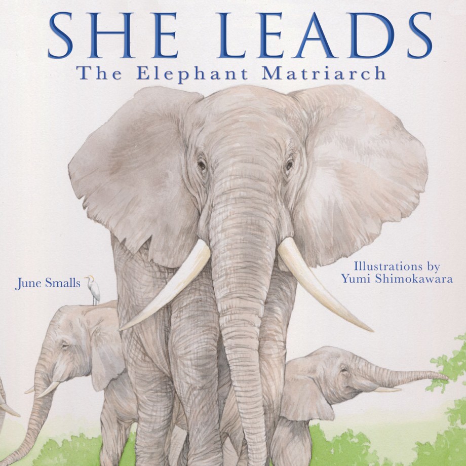 Cover for She Leads The Elephant Matriarch