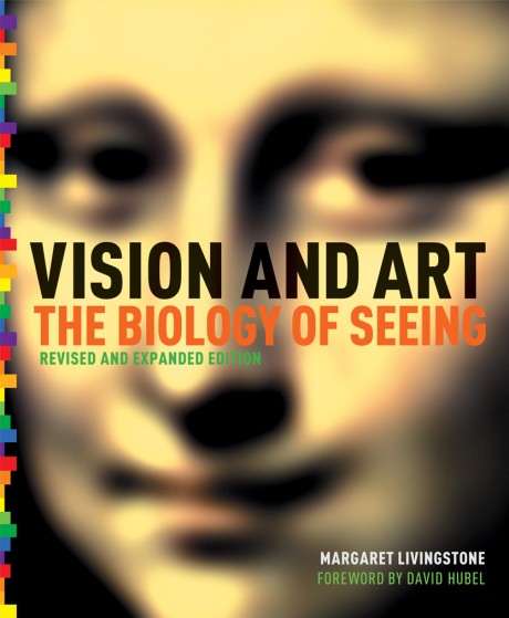 Cover image for Vision and Art (Updated and Expanded Edition) 