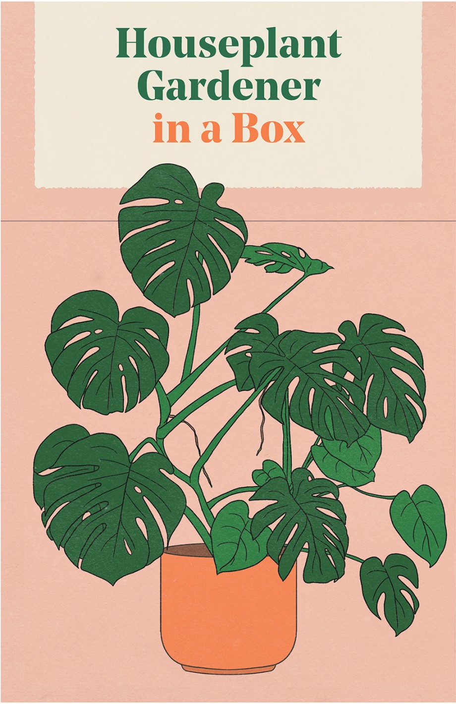 Houseplant Gardener in a Box How to Care for Indoor Plants