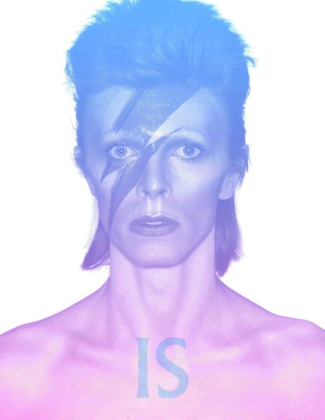 Cover image for David Bowie Is