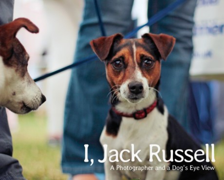 Cover image for I, Jack Russell A Photographer and a Dog's Eye View