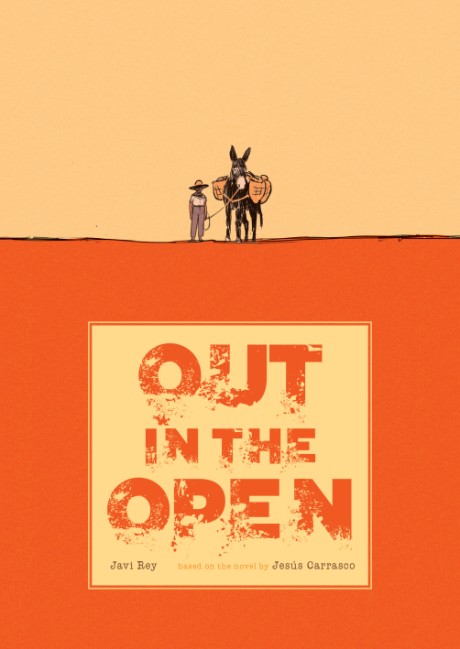 Cover image for Out in the Open 