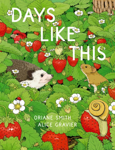Cover image for Days Like This A Picture Book