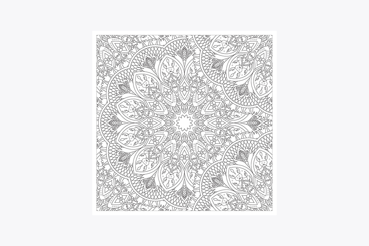Vive Le Color India Adult Coloring Book Paperback